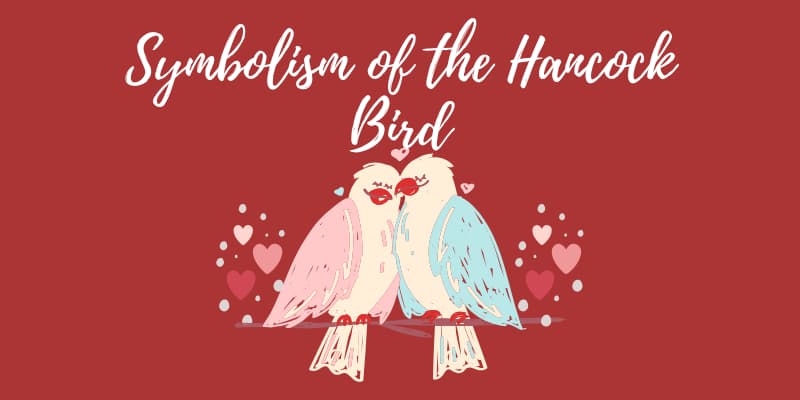 Hancock Bird