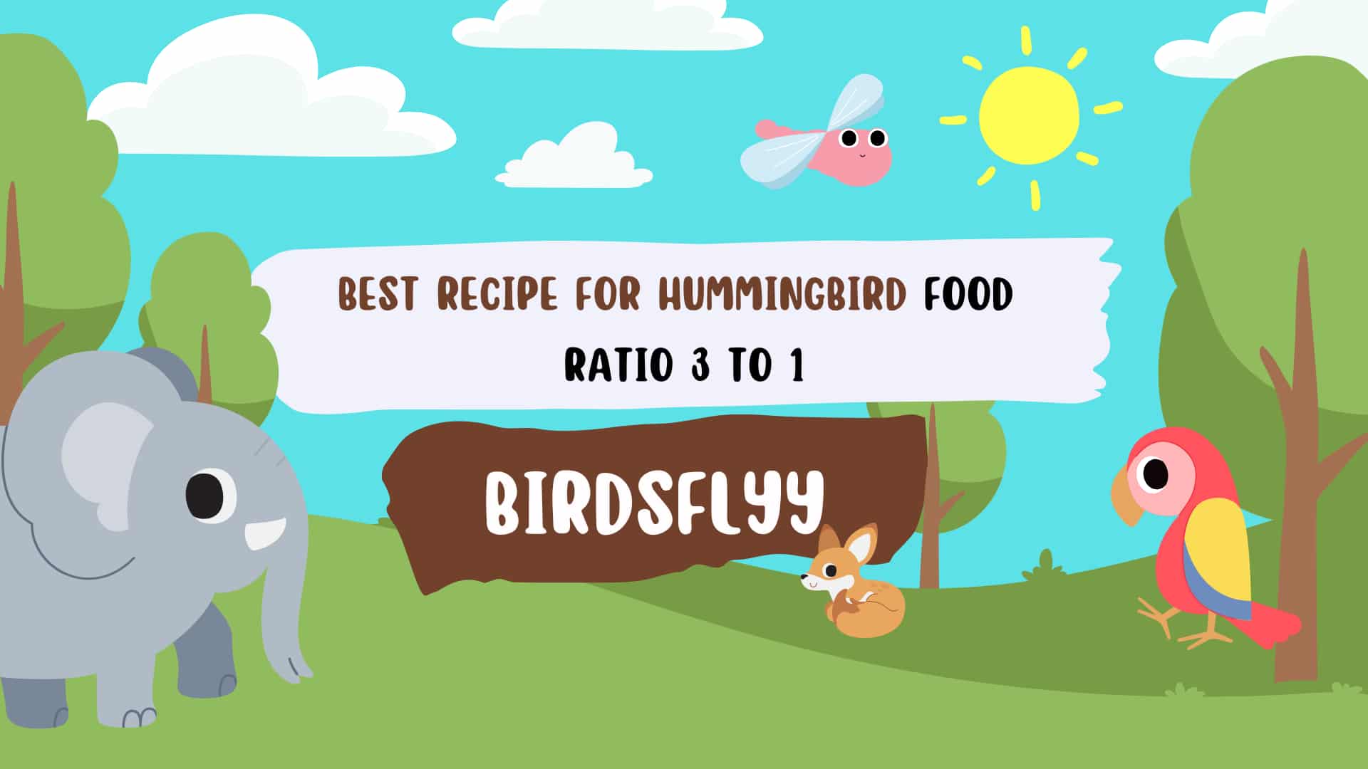 Hummingbird Food