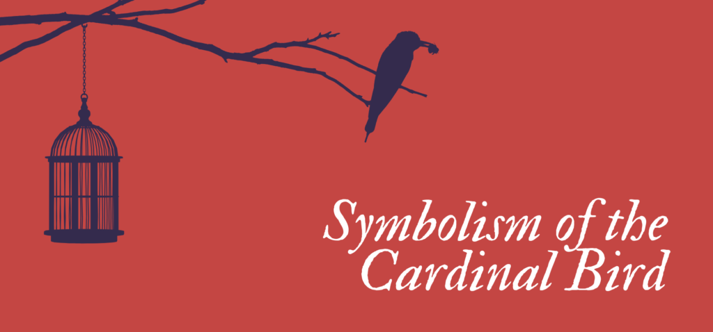 Cardinal Bird