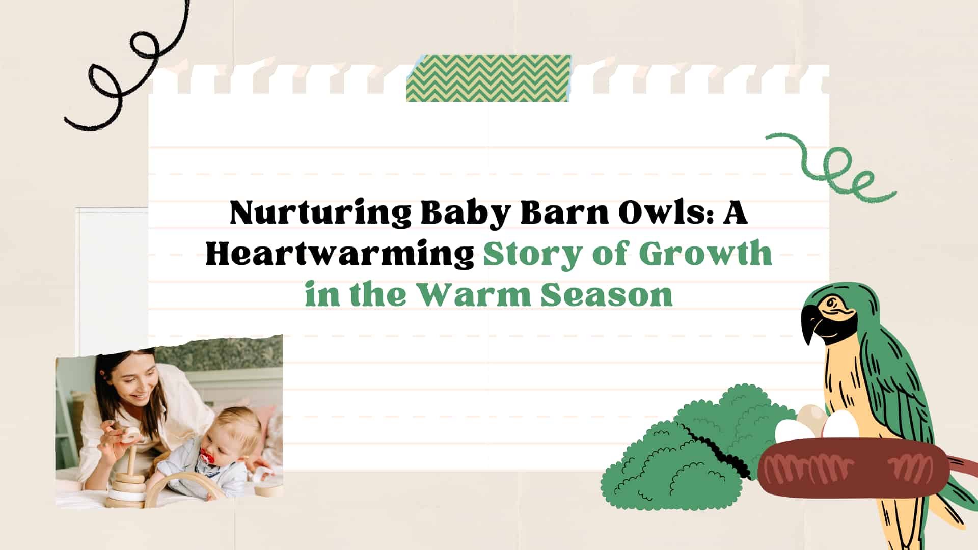Barn Owls