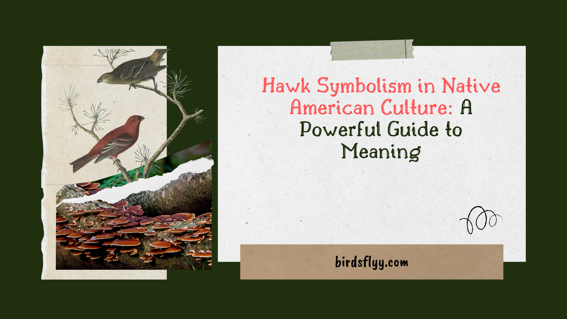 Hawk Symbolism